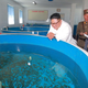 Viewing the product at a fish farm in Pyongyang.